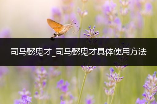 司马懿鬼才_司马懿鬼才具体使用方法