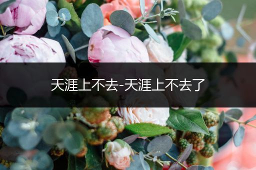 天涯上不去-天涯上不去了