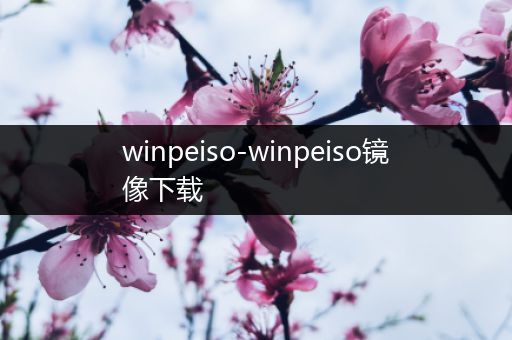 winpeiso-winpeiso镜像下载