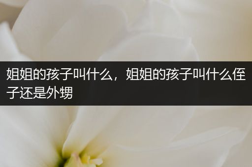 姐姐的孩子叫什么,姐姐的孩子叫什么侄子还是外甥