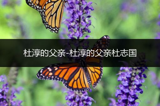 杜淳的父亲-杜淳的父亲杜志国