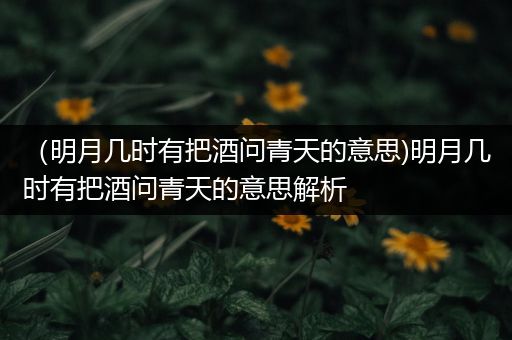 (明月几时有把酒问青天的意思)明月几时有把酒问青天的意思解析
