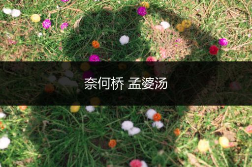 奈何桥 孟婆汤