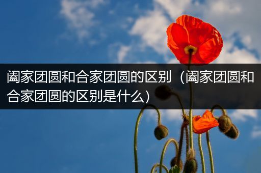 阖家团圆和合家团圆的区别(阖家团圆和合家团圆的区别是什么)