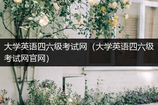 大学英语四六级考试网(大学英语四六级考试网官网)