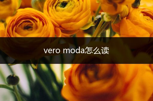 vero moda怎么读