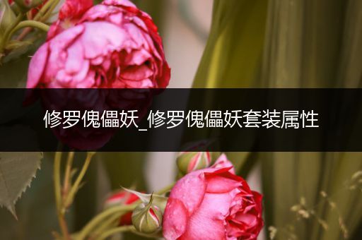 修罗傀儡妖_修罗傀儡妖套装属性