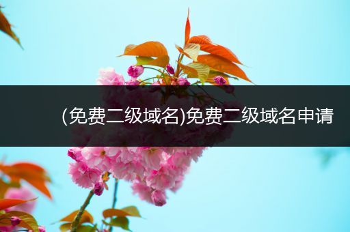 (免费二级域名)免费二级域名申请