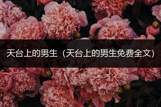 天台上的男生(天台上的男生免费全文)