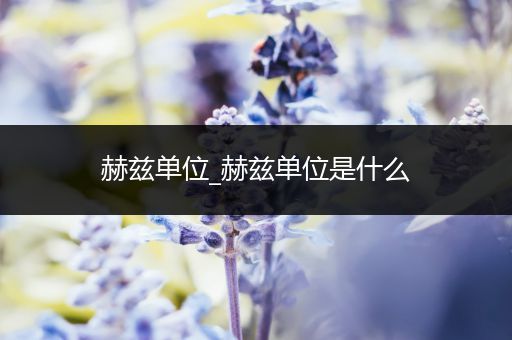 赫兹单位_赫兹单位是什么