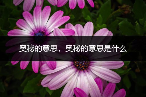 奥秘的意思,奥秘的意思是什么