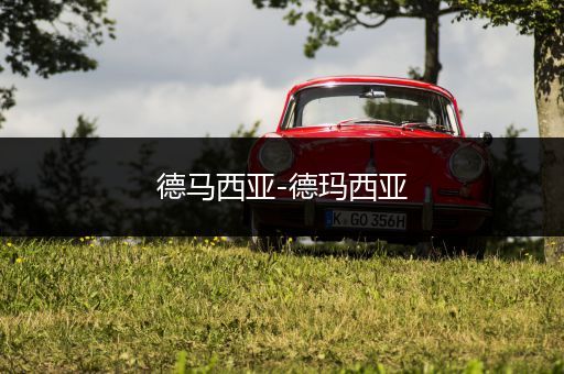 德马西亚-德玛西亚