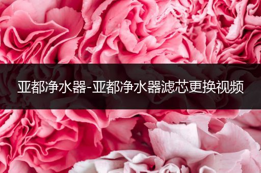 亚都净水器-亚都净水器滤芯更换视频