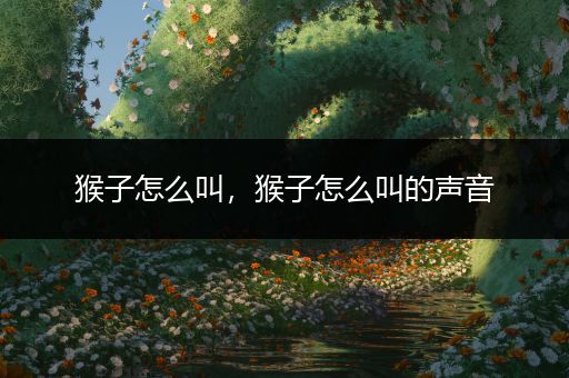 猴子怎么叫,猴子怎么叫的声音