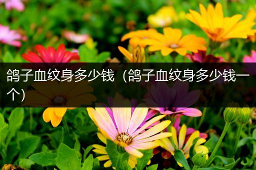 鸽子血纹身多少钱(鸽子血纹身多少钱一个)