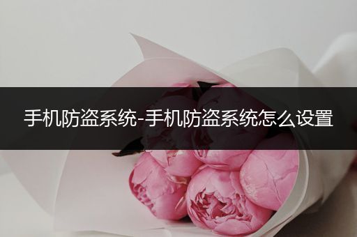 手机防盗系统-手机防盗系统怎么设置