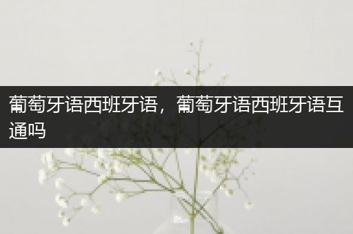 葡萄牙语西班牙语,葡萄牙语西班牙语互通吗