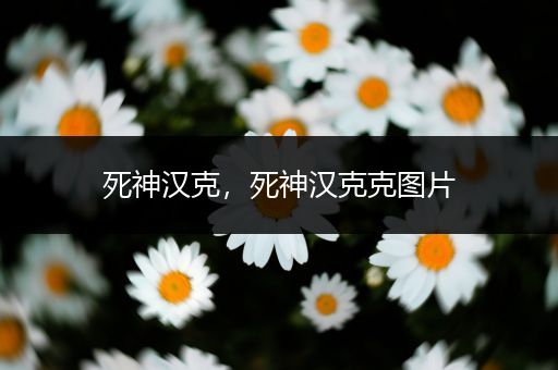 死神汉克,死神汉克克图片