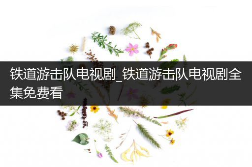 铁道游击队电视剧_铁道游击队电视剧全集免费看