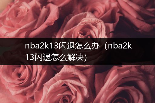 nba2k13闪退怎么办(nba2k13闪退怎么解决)