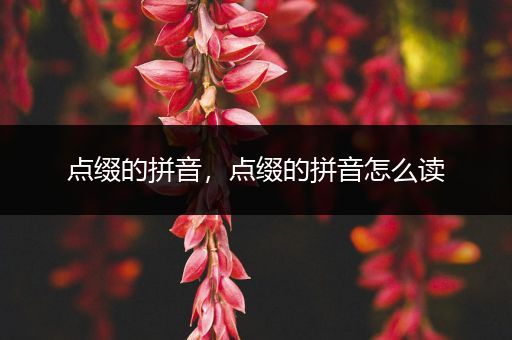 点缀的拼音,点缀的拼音怎么读