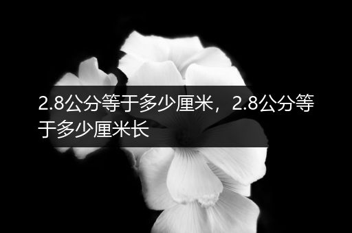 2.8公分等于多少厘米,2.8公分等于多少厘米长
