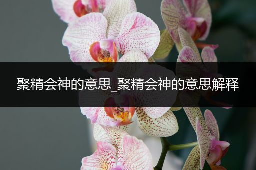 聚精会神的意思_聚精会神的意思解释