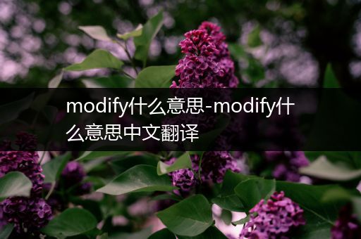 modify什么意思-modify什么意思中文翻译