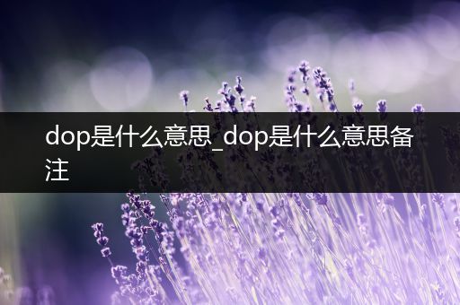 dop是什么意思_dop是什么意思备注