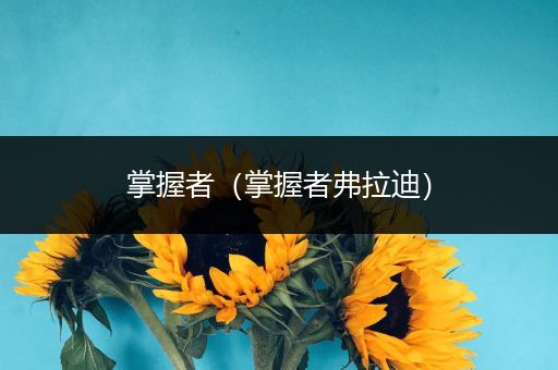 掌握者(掌握者弗拉迪)