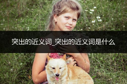 突出的近义词_突出的近义词是什么