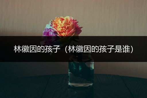 林徽因的孩子(林徽因的孩子是谁)