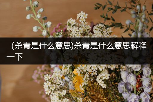 (杀青是什么意思)杀青是什么意思解释一下