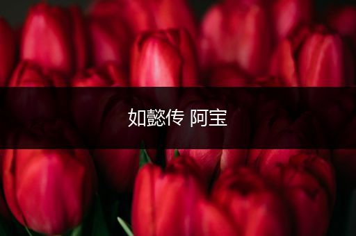 如懿传 阿宝