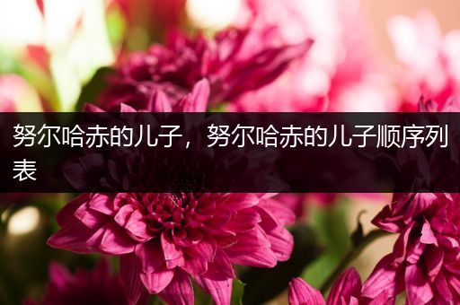 努尔哈赤的儿子,努尔哈赤的儿子顺序列表