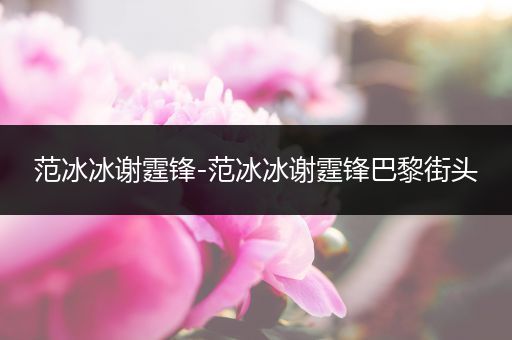 范冰冰谢霆锋-范冰冰谢霆锋巴黎街头
