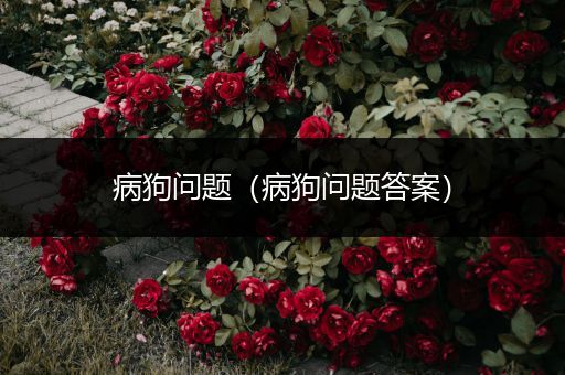 病狗问题(病狗问题答案)
