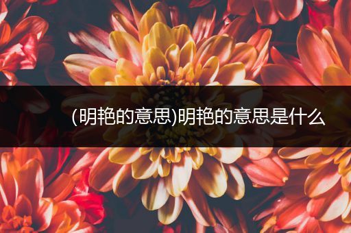 (明艳的意思)明艳的意思是什么