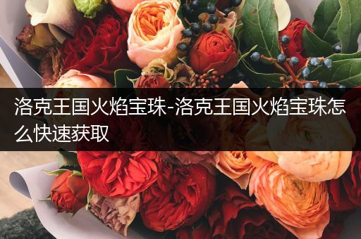 洛克王国火焰宝珠-洛克王国火焰宝珠怎么快速获取
