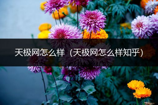 天极网怎么样(天极网怎么样知乎)