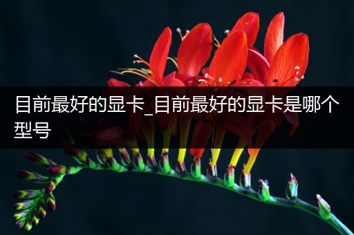 目前最好的显卡_目前最好的显卡是哪个型号