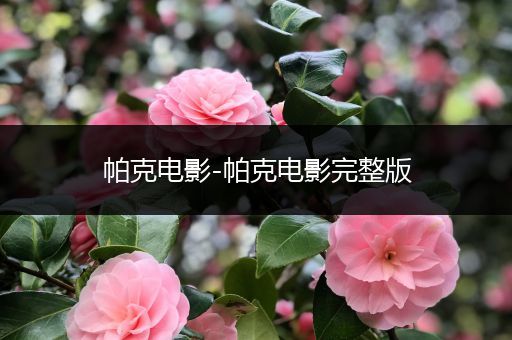 帕克电影-帕克电影完整版