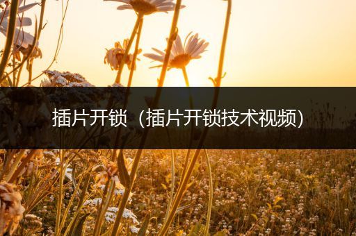 插片开锁(插片开锁技术视频)