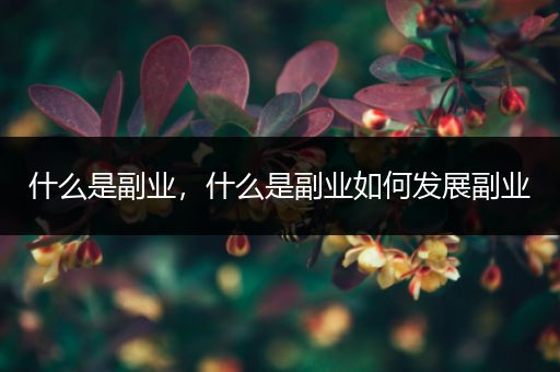 什么是副业,什么是副业如何发展副业