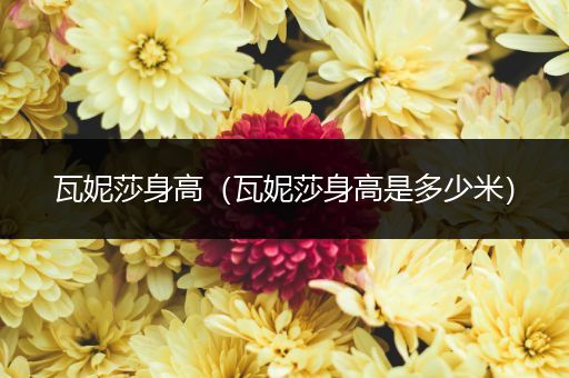 瓦妮莎身高(瓦妮莎身高是多少米)