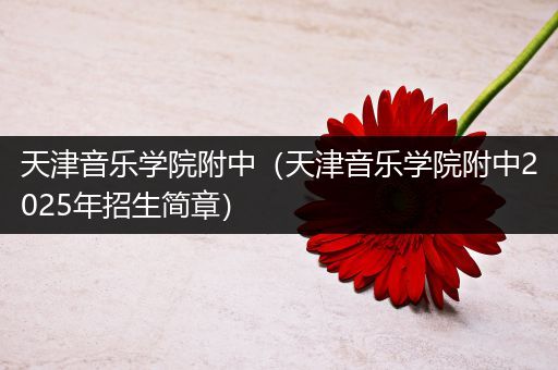 天津音乐学院附中(天津音乐学院附中2025年招生简章)