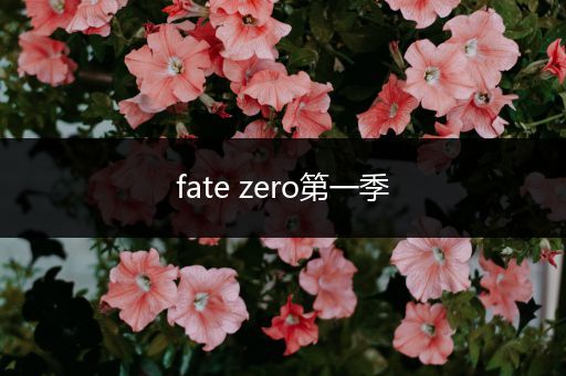 fate zero第一季