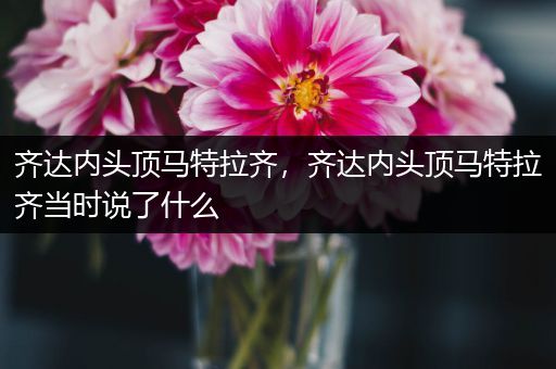 齐达内头顶马特拉齐,齐达内头顶马特拉齐当时说了什么