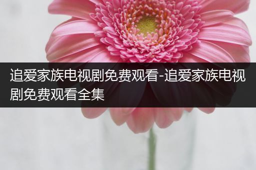 追爱家族电视剧免费观看-追爱家族电视剧免费观看全集