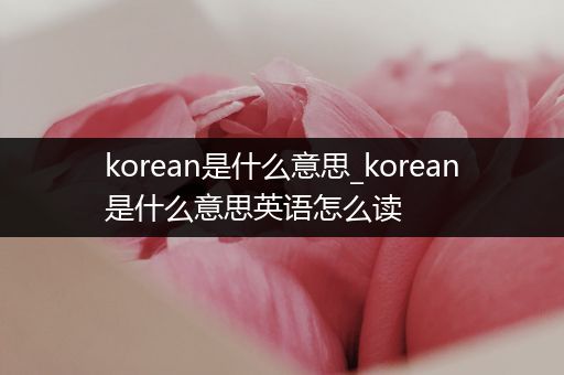 korean是什么意思_korean是什么意思英语怎么读